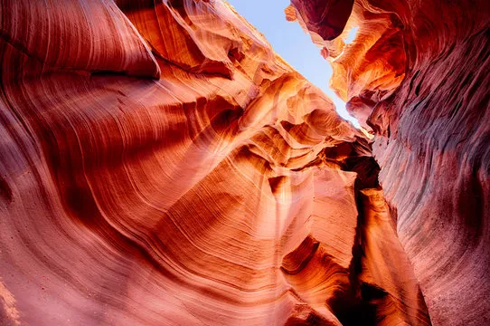 辉达娱乐 娱乐背景